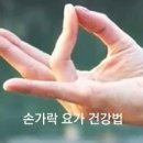건강 요가-A Daum카페