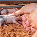 한소망요양원