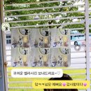 퍼피포유 이미지