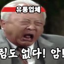 한우 시세 폭락한다는데 이미지