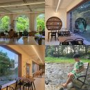 이동애견미용실 이쁘개 용인점 | 용인 고기리 계곡 물놀이, 여유롭게 즐긴 모소밤부 카페