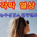 마이더스 안경원 | TALEX PEACE BROWN 후기-서초 마이더스 안경원