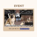 못생긴 노을이 팝업스토어 방문후기 (더현대 서울) 4.11~4.17