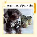 프리테라 | 테라카니스 디톡스 오렌지 습식사료 다이어트 중 강아지 급여 내돈내산 후기