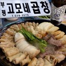 부평시장역 “고모네곱창” 무알콜 맥주, 아기 의자가 있는 찐 맛집