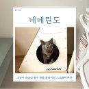 숨숨집 | 고양이 숨숨집 필수 용품 클라이밍 스크래쳐 추천 '네네린도' 후기