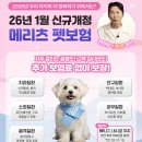 메리츠화재 ‘펫퍼민트’ 개정… MRI·CT 보장 신설 이미지