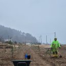 용동농장 이미지