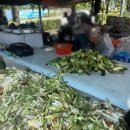 경호민박 이미지