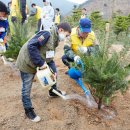 희망나무심기3 이미지