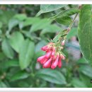 야래향 - 김제시 중앙로 150 | 야래향