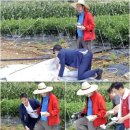 황제의전 이미지