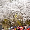 용천(안산) 이미지