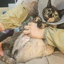 봄동살롱 이미지