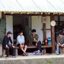 삼시세끼 이미지