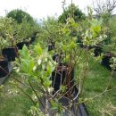 알찬농장 이미지