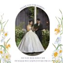 [Wedding #16] 담스냅 아이폰스냅 수령 후기(feat.미포북❤️)
