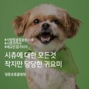 다정한 동물병원 네이버블로그