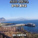 송악산 숲길 | 서귀포 여행코스 바다 해안 둘레길 명소 제주 송악산 둘레길