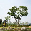 시민공원 남문 인근-3 이미지