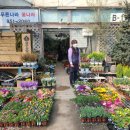 푸른나라꽃나라 이미지