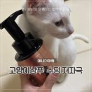 애니펫 동물병원 | 고양이샴푸 추천 애니더마랩 수딩 저자극 펫샴푸 내돈내산