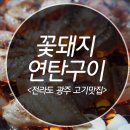 (주)타이어메카 서구점 | 전라도 광주 고기맛집 꽃돼지 연탄구이 먹방후기