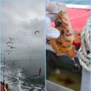 축항대로2번길 | 인천바다낚시 초보 우럭낚시 새벽배 덕적바다낚시 찐후기