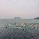 제주우유보급소 | 2019년 제주 킹코스 완주 후기