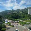 휘닉스모텔 | 평창 휘닉스파크 근처 가성비숙소 휘닉스그린텔 후기