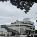 대들보 | 담양아침식사 담양시장맛집 담양점심맛집 추천 죽녹원대들보 솔직 찐 후기