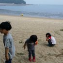 실미농장 이미지