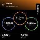 제주 국제 울트라마라톤&amp;트레일레이스 이미지