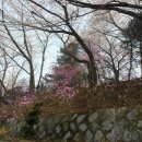 영복여자고등학교 이미지