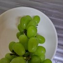 남포포도원