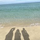 정동비치모텔 | 강릉으로 가족여행(숙소 후기: 1일차_웨얼유아 독채펜션/2일차_탑스텐호텔)+먹부림