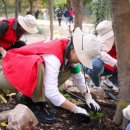 그린쇼핑 이미지