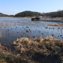 볼음저수지 이미지