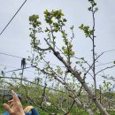 현화농장 이미지