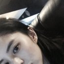 강아지랑고양이 이미지