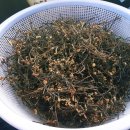 카페인시애틀 이미지