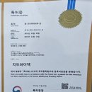 강릉방충망 교체 │ 연곡 반려견 블랙스텐방충망 · 교동주공3단지 미세방충망 시공후기