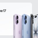 가호동17 이미지