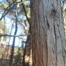 푸른산민박 이미지