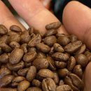 파라이소 이미지