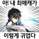 절세하랑