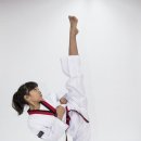 코리아태권도 이미지