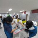 즐거운 애견미용 이미지