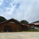 강릉목장 | 강릉 여행코스 추천 대관령 양떼목장 8월 방문후기