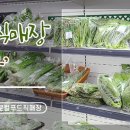 상주로컬푸드직매장상주생각 네이버블로그